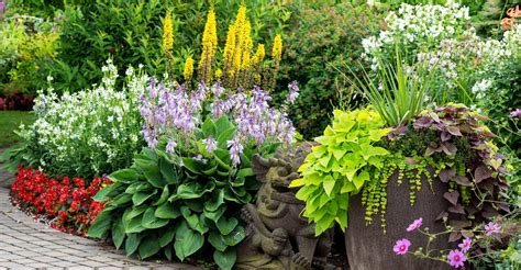 In comparison, biennials live for only two years, and annuals only live for one year. Know Your Plants - Annual vs. Perennial | My Garden Life