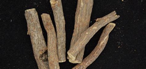 Ashwaganda description ashwaganda, also spelled ashwagandha, is a member of the pepper family known as withania somnifera. فوائد عود القرح - موضوع