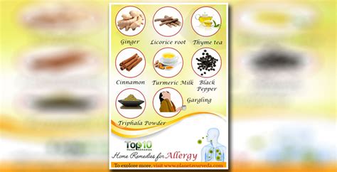 Best 10 Home Remedies For Seasonal Allergies Articlecube