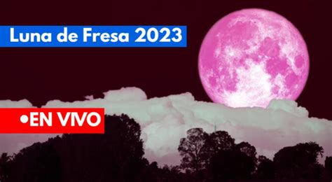 Luna De Fresa 2023 ¿ A Qué Hora Cuándo Y Cómo Ver En Vivo La Luna Llena De Junio