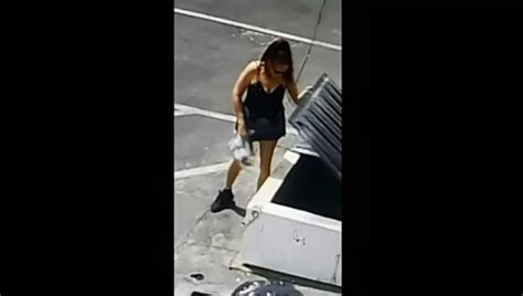 Video Shows Woman Throwing Plastic Bag Full Of Puppies Into Dumpster In California Wsvn 7news