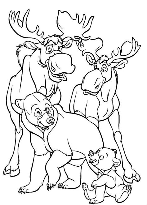 Moose Coloring Pages Mooses And Bears Free Printable Coloring Pages