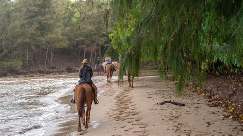 Horseback Riding Kauai Cjm Country Stables Youtube