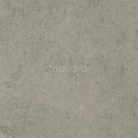 Pavera Gris Vloer Wandtegel 60x60 Cm Grijs Natuursteenlook 303