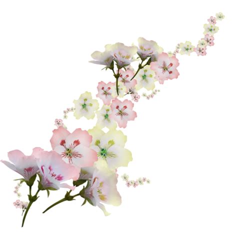 Explore and download more than million+ free png transparent images. اطارات وسكرابز ورود ،مجهودي الخاص - منتديات درر العراق
