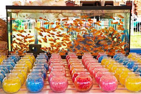 Goldfish Game At A Carnival Fair Stock Photo Image Of Pattern Fish