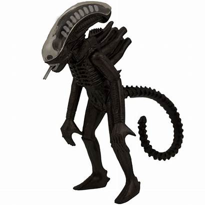 Alien Action Figures Funko Pack Xenomorph Comparison