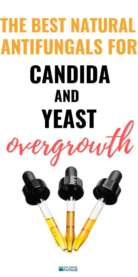 Treating Candida Naturally The Combined 3 Step Process That Works