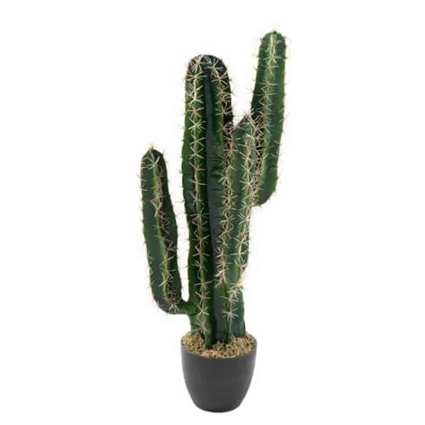 Cactus y plantas crasas como regalo original y ecológico para bodas y eventos. Épinglé sur CACTUS ET GRAMINES ARTIFICIELS