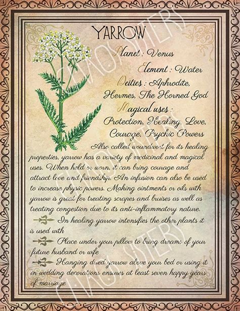 Printable Herbs Book Of Shadows Pages Set 2 Herbs And Plants Etsy Wicca