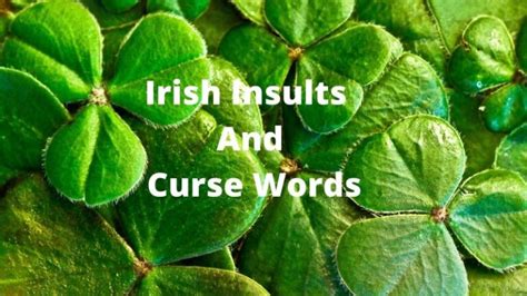Irish Insults And Curse Words Ireland Travel Guides