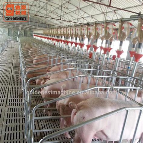 China Pig Farm Design Gestation Stalls For Sows Pig Equipment