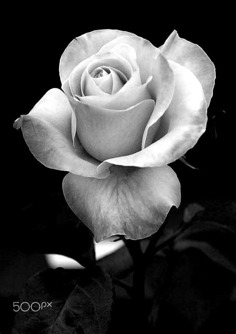 Check spelling or type a new query. I LOVE YOU My LOVE Thinking of YOU. BAE 9-05 2018 @t. 3:08 ...