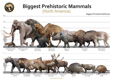 Biggest Prehistoric Mammals Of Na Herbivorous By Rom U On Deviantart
