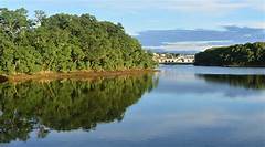 The Craigslist Challenge Finding Hidden Treasures On Lubbocks Online Marketplace