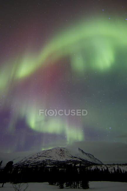 Aurora Borealis Over Carcross Desert — Wispy Yukon Stock Photo