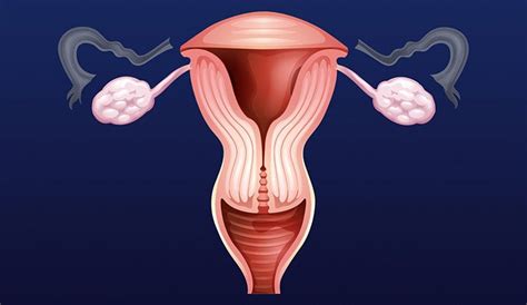 Removing Fallopian Tubes But Keeping Ovaries May Cut Cancer Risk But