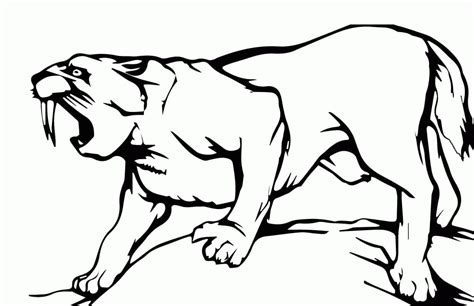 Saber Tooth Tiger Coloring Page Coloring Home