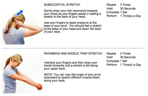 Best Chiropractor Approved Neck Stretches