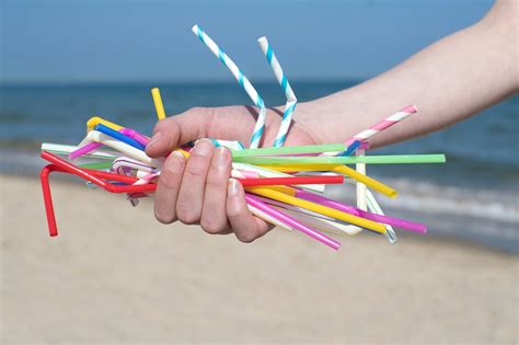 Banning Plastic Straws Is More Scam Than Science