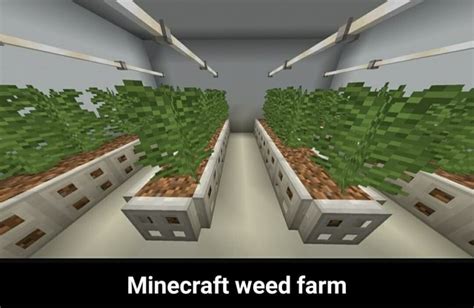 Minecraft Weed Farm Minecraft Weed Farm Ifunny