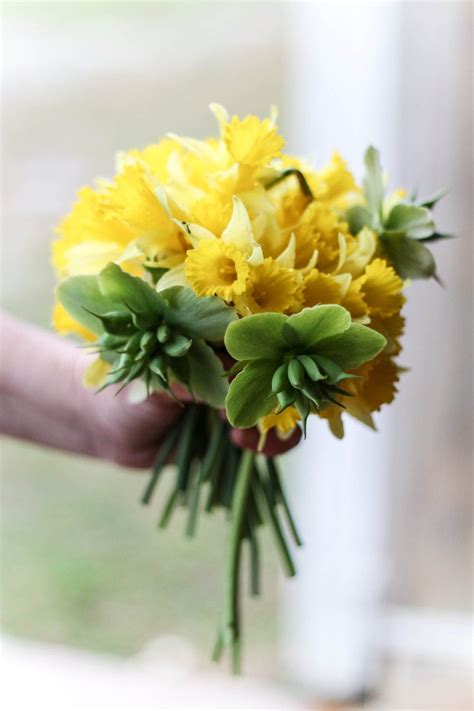 Blog Sweet Meadow Early Spring Wedding Daffodil Bouquet Wedding