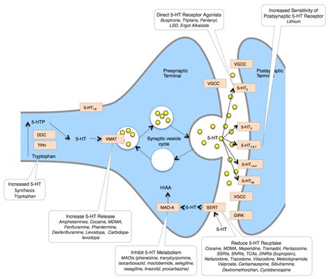 The degree of symptoms can range from mild to severe. Real Psychiatry: Serotonin Syndrome at The Tipping Point
