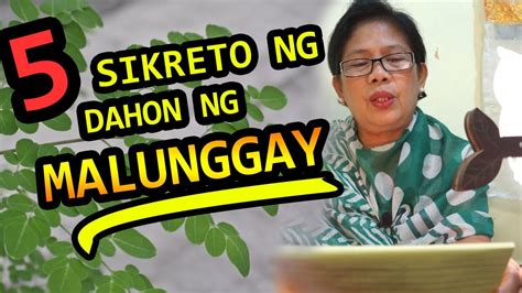 Mayaman sa bitamina at sustansiya ang dahon ng malunggay (kilala rin sa tawag na moringa), lalo para sa mga bata, at pati na rin sa mga mommy. DAHON NG MALUNGGAY HEALTH BENEFITS TAGALOG - PARA SA UBO ...