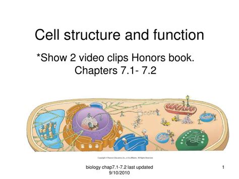 Cell theory an overview of a cell. PPT - Cell structure and function PowerPoint Presentation ...