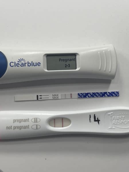 Positive Pregnancy Test Then Negative Tests Mumsnet