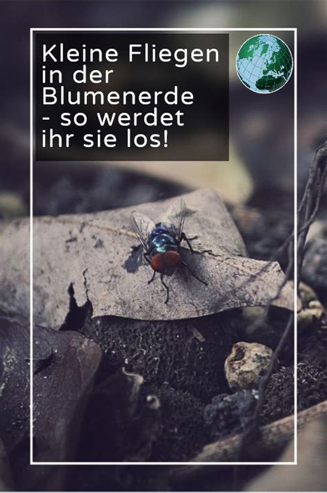 Mehr und mehr werden im Pin auf Ab in den Garten!