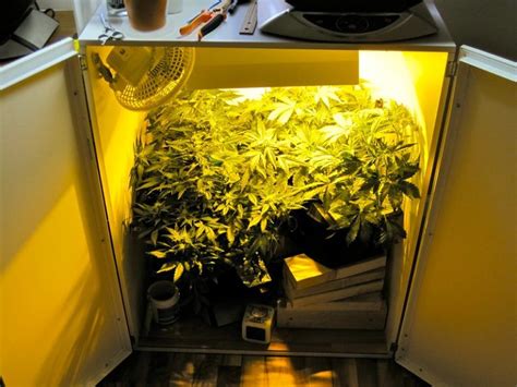 To save some money, you can make your own. DIY Smell Proof Grow Box for Discreet Cannabis Growing