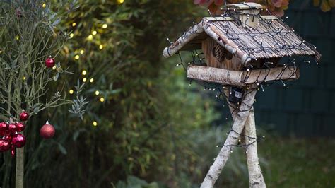 Vor allem zur weihnachtszeit, wenn alle pflanzen ruhen, dürfen sie sich im garten so richtig gestalterisch austoben und für hingucker sorgen. Weihnachtsdekoration für den Garten bei dein Freizeitm