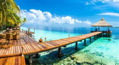 Canareef With Flight To Gan Island Maldives Shayoka Travels