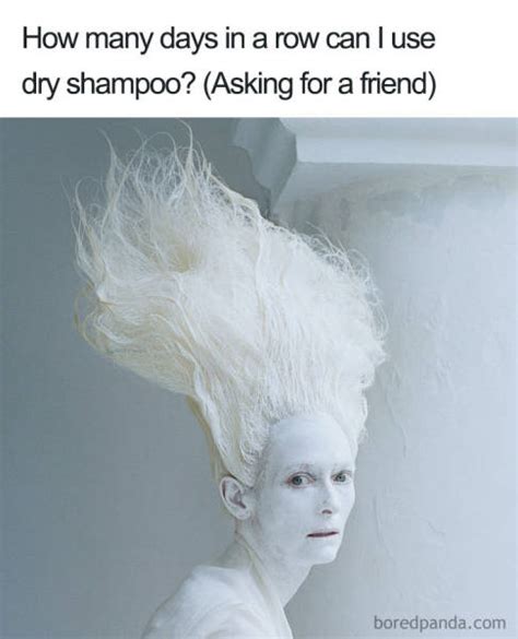 hairstylist funny memes 27 pics