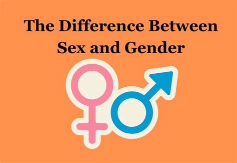 difference between sex and gender in sociology the wire flow