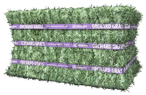 Standlee Premium Western Forage Premium Orchard Grass Compressed Bale
