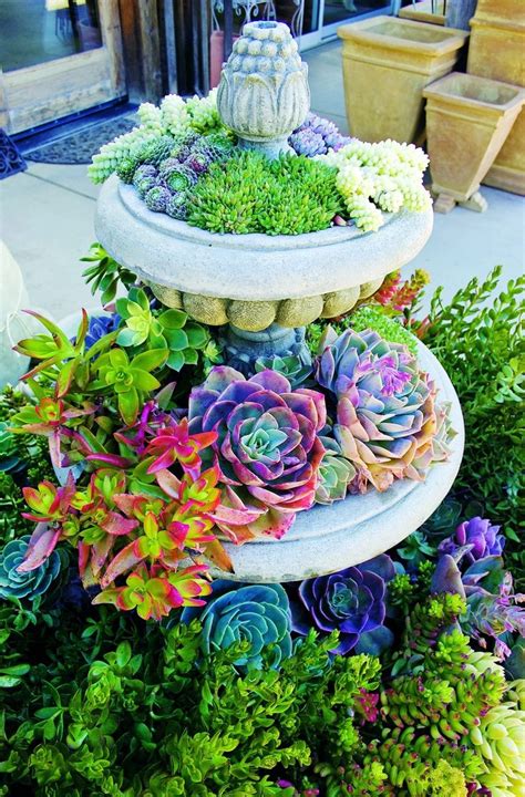 50 Best Succulent Garden Ideas For 2017 Small Front Yard Landscaping