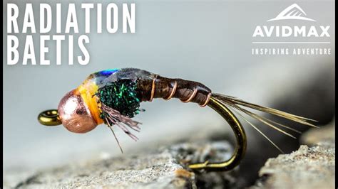 How To Tie The Radiation Baetis Avidmax Fly Tying Tuesday Tutorials