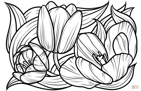 Tulips coloring page | Free Printable Coloring Pages Free Printable