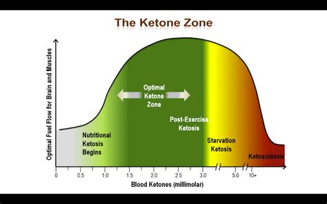 Here are healthline's picks for the 12 best keto diet books. Why go Low Carb - A great video presentation. | Diabetes