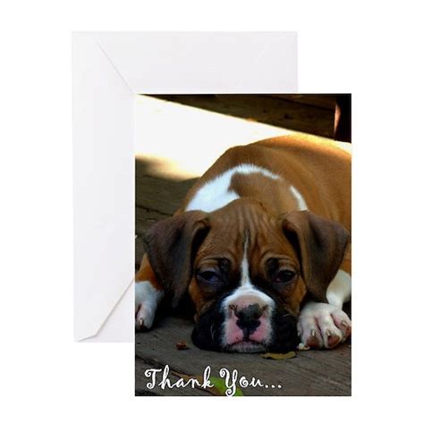 Thank You Boxer Puppy Greeting Card Thank You Boxer Puppy Greeting