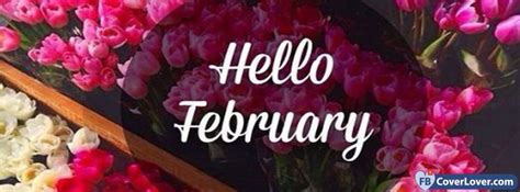 Hello February Flowers February Cover Photos For Facebook Facebook