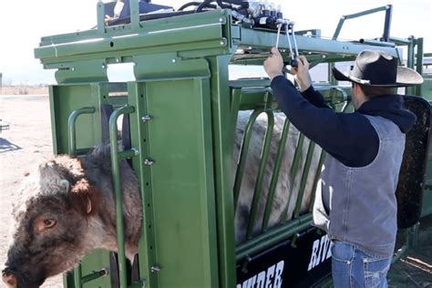 Hc2000 Hydraulic Squeeze Chute Powder River Cattle Equipment Powder