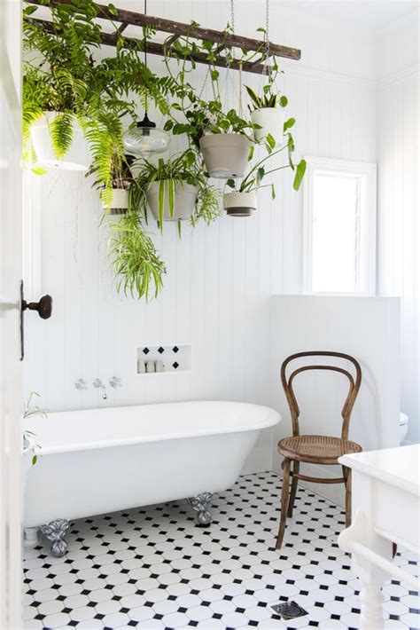 Bathroom Plant Decor Ideas And Tips For Choosing The Right Ones Top