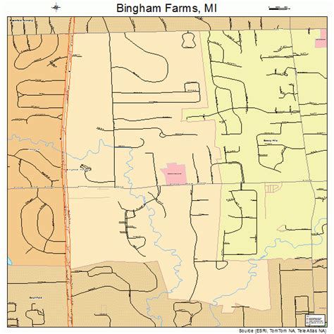 Bingham Farms Michigan Street Map 2608460