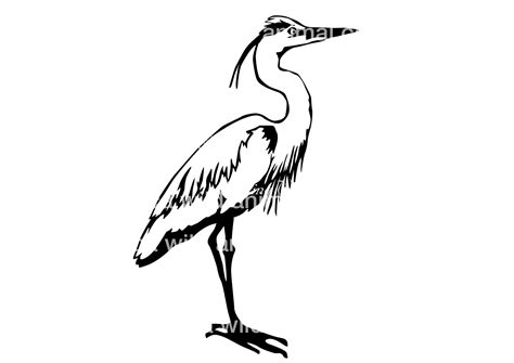 Great Blue Heron Svg Clipart Arte Gráfico Vectorial Bird Cut Etsy