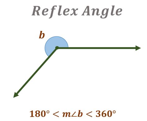 Reflex Angles Definition Examples Measuring And Calculating