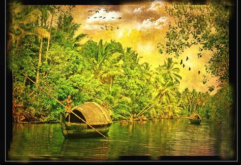Jungle let you keep your bookmarks privately and securely using passcode, touch id or face id. Indian Jungle ... Kerala | My images are © Copyrighted and ...