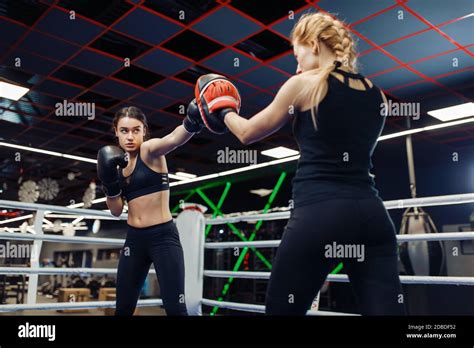 Two Women In Gloves Boxing In The Ring Box Training Female Boxers In